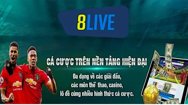 Trang cá cược 8LIVE là một nền tảng đáng tin cậy và chất lượng cao